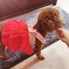 Cute Dog Dresses Striped Mesh Puppy Skirt Pet Princess Dresses Summer Clothes Dog Apparel Doggie Bowknot Dresses for Dogs Cats