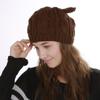 Autumn Winter Knitted Warm Women's Jacquard Fried Dough Twist Cat Ears Cute Wool Single Layer Hat