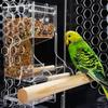 Акриловая автоматическая кормушка для попугаев Finch Parakeet, кормушки для птиц, аксессуары для клеток, дозатор