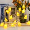 LED Fruit Banana Light String Fruit Shaped Night Market Summer Party Birthday Small Colorful Light String