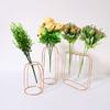 Nordic Creative Vase Home Decor Golden Glass Hydroponic Plant Holder Iron Line Flowers Ornament Garden Decoration Hot