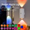 Rechargeable Atmosphere Light Smart Induction Wall Lamp LED Night Light Bedside Lamp Downlight for Room Bar Corridor Decoration