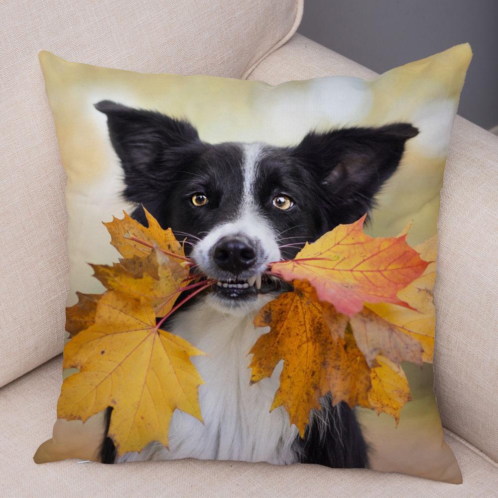 Милый питомец животное собака принт наволочка шотландский бордер колли подушка чехол диван украшение для автомобиля