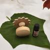 Refillable Wooden Daisy Essential Oil Diffuser DIY Fireless Aromatherapy Diffuser  Sleep Aid