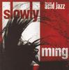CD SLOWLY - Ming EX3202 Instinct Record 1995 US Dance & Electronica Used