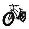 Электрический велосипед 48V750W CST4.0 Fat Tire Ebike для взрослых E Bike Горный велосипед Электрический велосипед 21Ah Аккумулятор Tesla