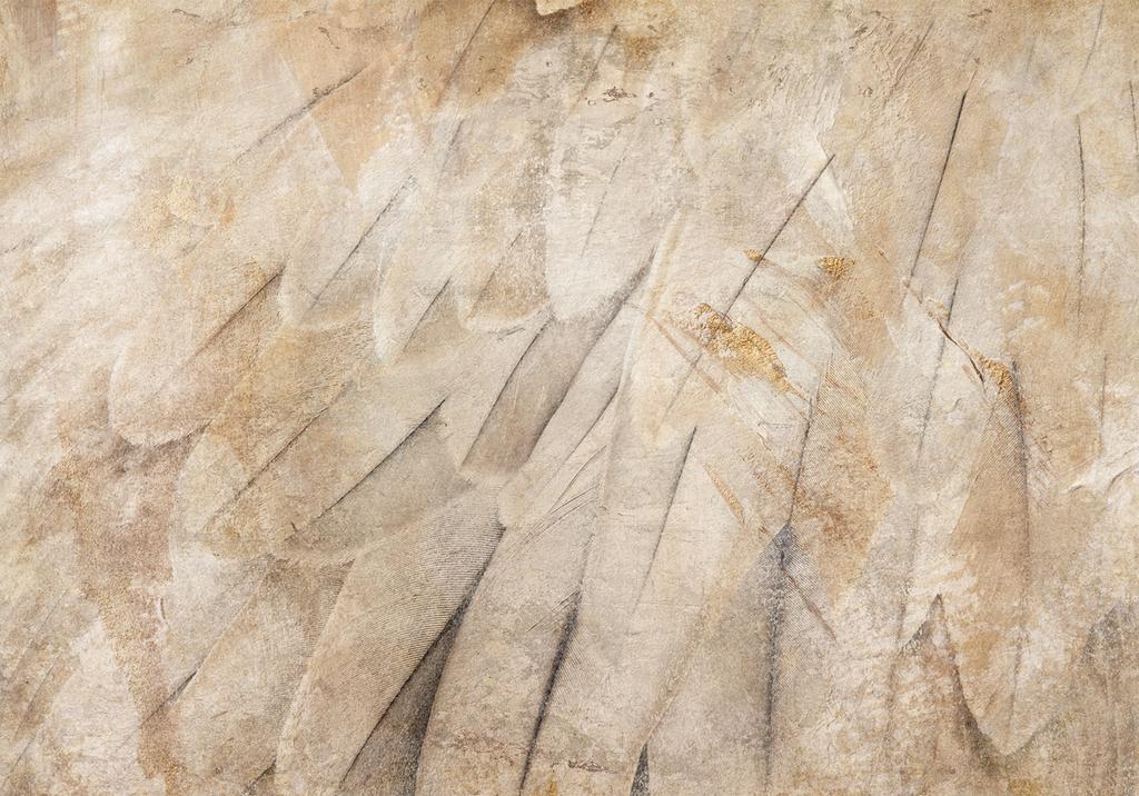 Fototapeta - Skrzydła Ptaka - Minimalistyczne Zbliżenie Na Beżowe Pióra Z Deseniem