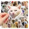 50 Funny Funny Cat Waterproof Doodle Decorative Reusable Stickers For Birthday Christmas Gifts