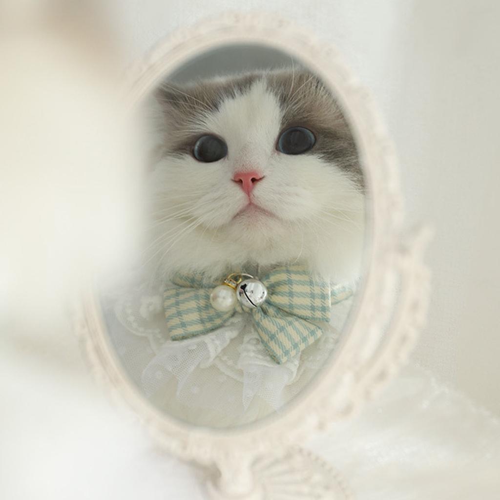 Кружевной кошачий ошейник с бантом и колокольчиками Милый модный питомец Шейный платок Аксессуары для собак Зеленый M