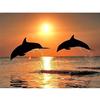 Полный 5D Diy Алмазная картина Дельфин Дайвинг Алмазная вышивка Крестом Домашний декор Подарок ручной работы