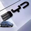 Для BYD SEALION 7 Черный Воин наклейка на логотип автомобиля Черный Воин Задний значок Стиль модификации Покрытие Значок автомобиля