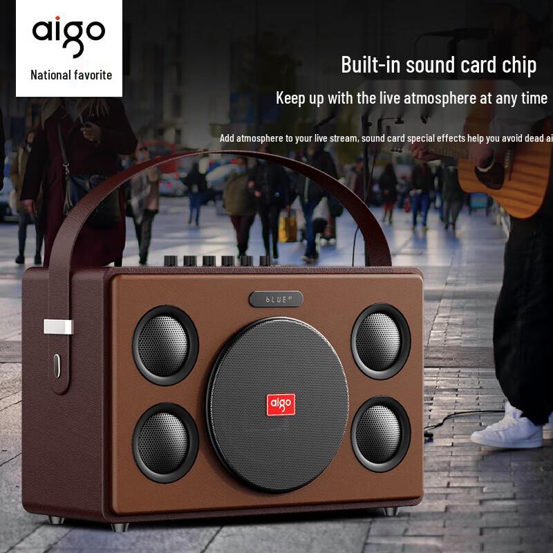 Aigo T190 Portable KTV Bluetooth Speaker with Dual Microphones