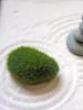 6pcs/18pcs Artificial Moss Rocks Decorative Green Moss Balls Moss Stones Fake Moss for Floral Arrangements Fairy Gardens and Crafting Decor