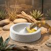 Wear-resistant Parrot Paw Grinding Bowl Anti-Spill Guinea Pigs Food Dish  Cage Accessories