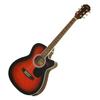 LEGEND BS Electric Acoustic Guitar FG-15CE