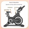 Brangdy Smart Indoor Exercise Bike CN plug (adapter included)