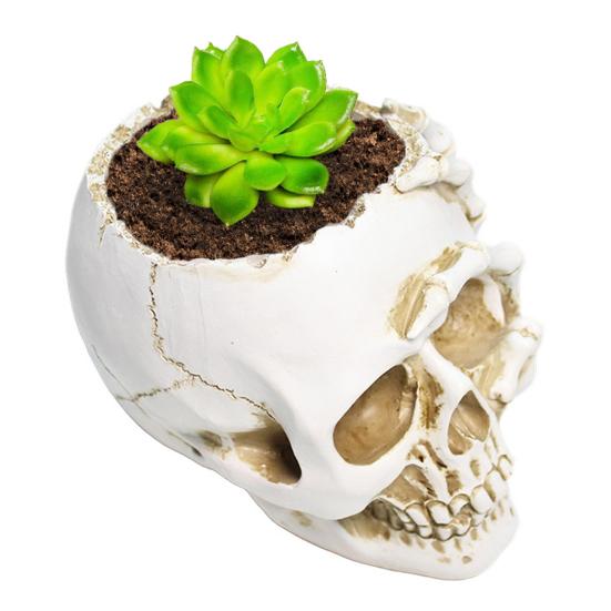 Кашпо в виде черепа, смола, кашпо в виде человеческого черепа, атмосферостойкое, готическое кашпо для посадки суккулентов, для использования в помещении и на улице