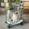 Transparent Space Capsule Pet Outing Bag - Portable Cat and Dog Backpack, Large-capacity Travel Pet Suitcase