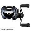 Daiwa 25IM Z TW Мультипликаторная катушка 100-C
