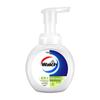 Walch Foaming Antibacterial Hand Wash