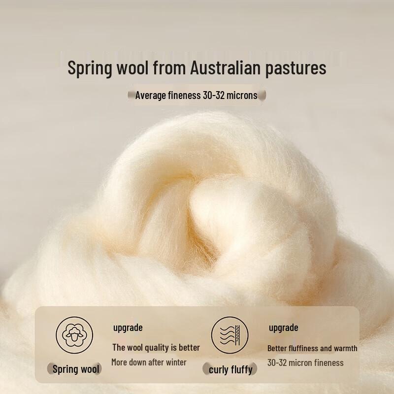 BEYOND Class A Antibacterial 100% Australian Wool Winter Quilt