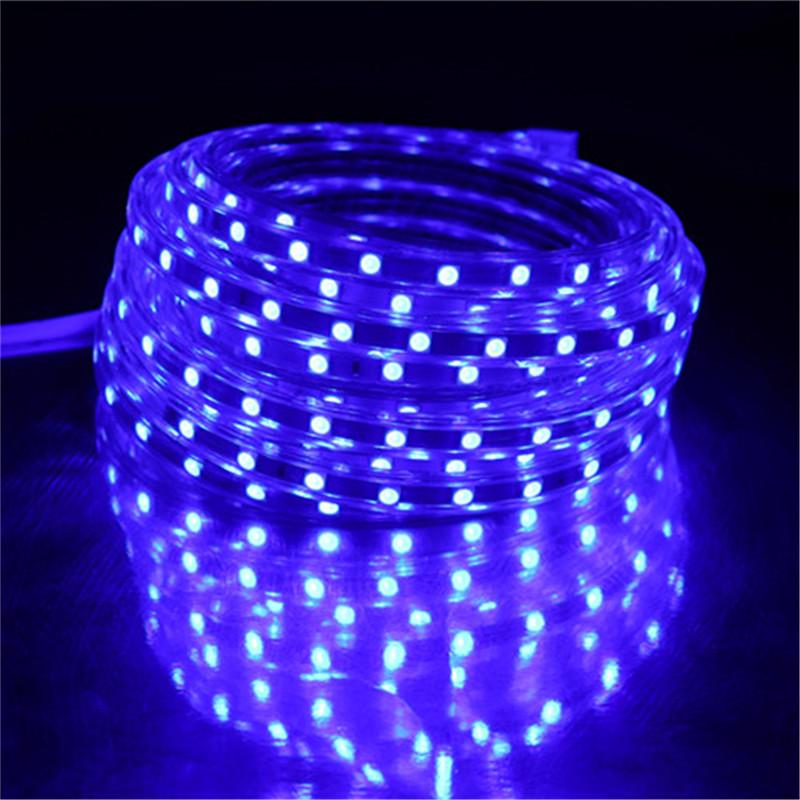 5050 Flexible LED Strip light AC220V 60leds/m Waterproof IP67 Led Tape LED Light With EU Power Plug 1M/2M/3M/4M/5M/10M/15M/20M