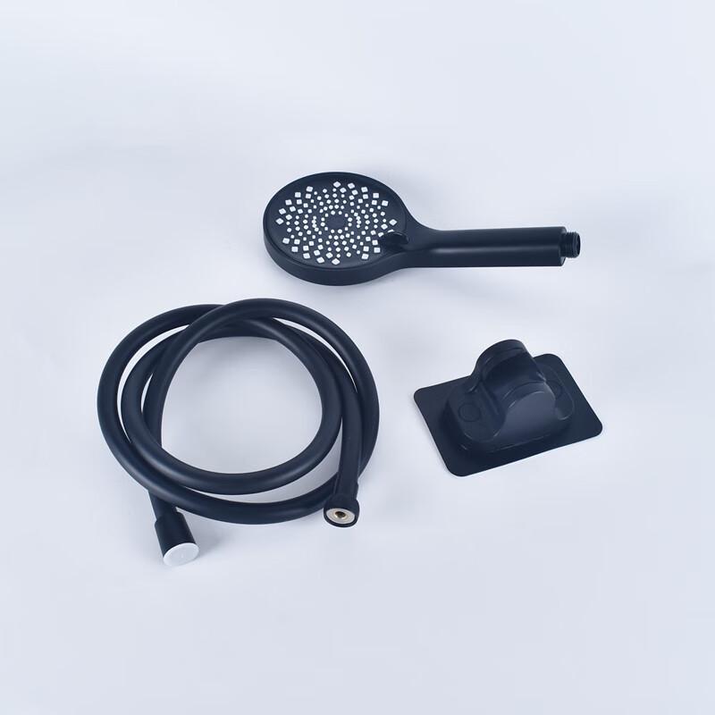 Zhi Shi Large Panel Handheld Shower Set
