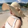 Korean Style Women's Beach Straw Hat - Trendy, Large Brim, Sun Protection, Versatile for Summer Vacations