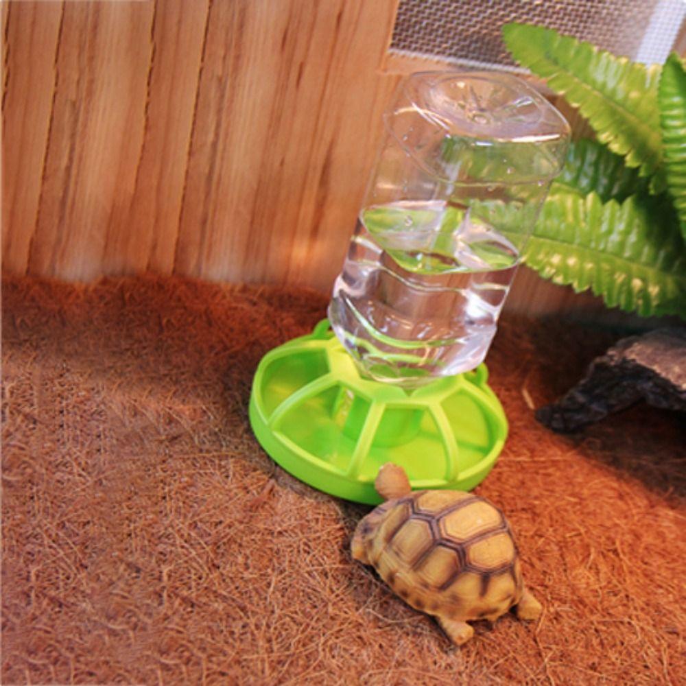 Accessories Turtle Food Container Lizard Food Bowel Reptile Feeder Tortoises Water Dispenser