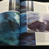 [USED] Whales Photo Books Foreign Books Whales English Mammals Animals Sea Nature