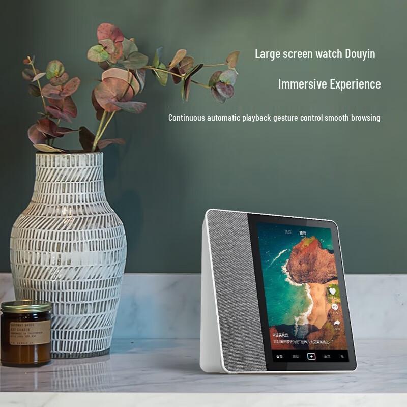 XIAODU TianTian T8 Portable Smart Speaker with KTV Microphones CN plug (adapter included)