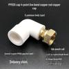 PPR Water Heater Union Pre-Filter Connector: 25 To 1 Inch, 4-6 Points, 32 Straight Elbow, Copper Water Pipe Fittings