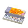 KUSAKABE Harmonia Plus Transparent Watercolor 10ml 313101 Paints, 12-Color Set, (No. 4),