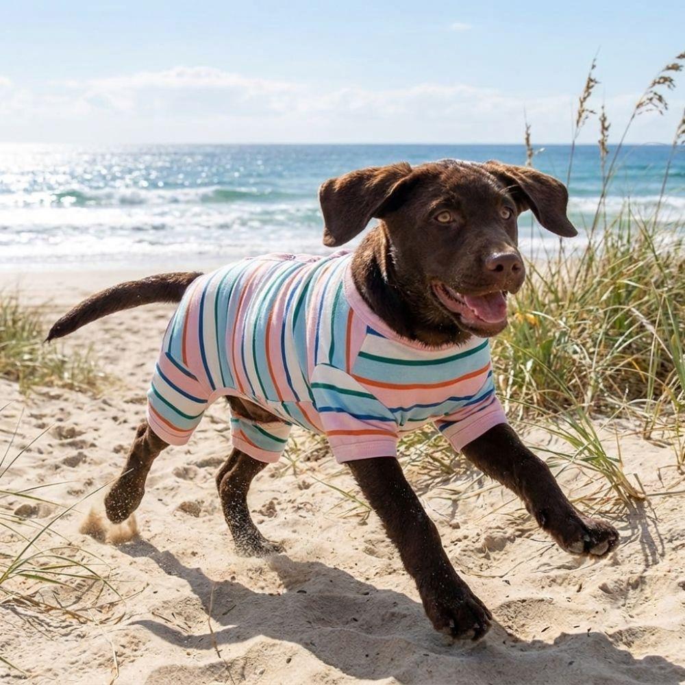 Cotton Dog Four Legged Clothes Elastic Cat Pajamas Colorful Striped Dog Jumpsuits Indoor Wear