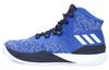 D Rose 8 'Collegiate Royal' CQ0826