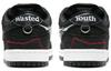 Nike Sb Dunk Low Wasted Youth DD8386-001