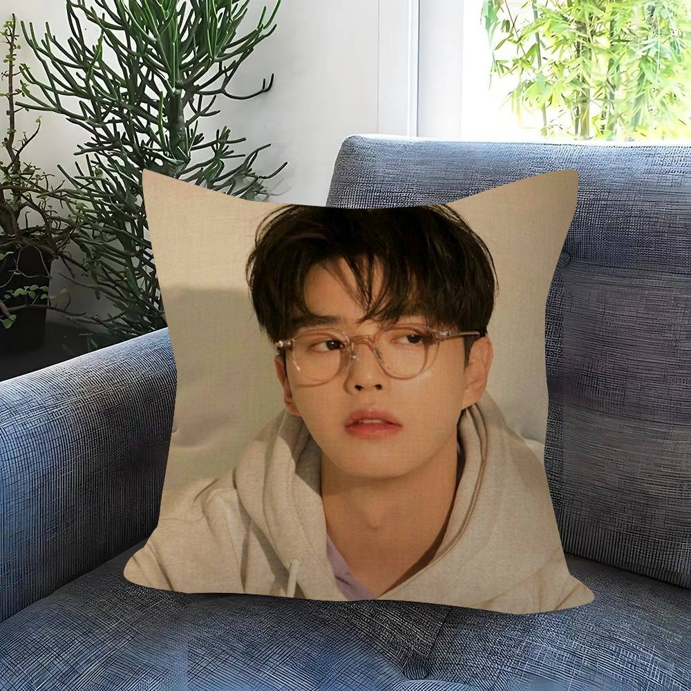 Kpop Actor Hot SSong Kang Pillow Gift Home Office Decoration Bedroom Sofa Car Cushion Cover case 45x45