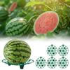5/10Pcs Watermelon Cradle Anti-Corrosion Reusable Fruits Vegetables Nursery Tray for Watermelons Pumpkins Melons Squash