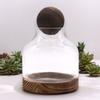 Terrarium, Medium Ball Top On Dark Tung Wood