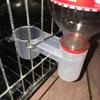 Пластиковая поилка-кормушка для домашних птиц, бутылка для воды, чашка для кошки, курицы, голубя, для голубей, домашнего сада, автоматический дозатор воды для птиц