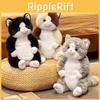 Plush Cat Toy With Pp Cotton Filling For Kids And Giftgiving