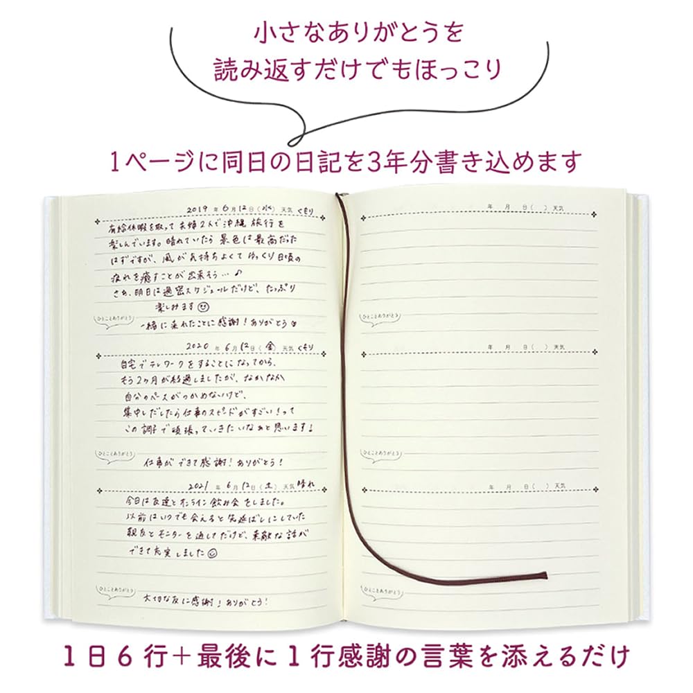Stationery B6 Record Book Goods Mail Order Everyone's [Diary] 3-Year Diary/Rabbit Close-Pin