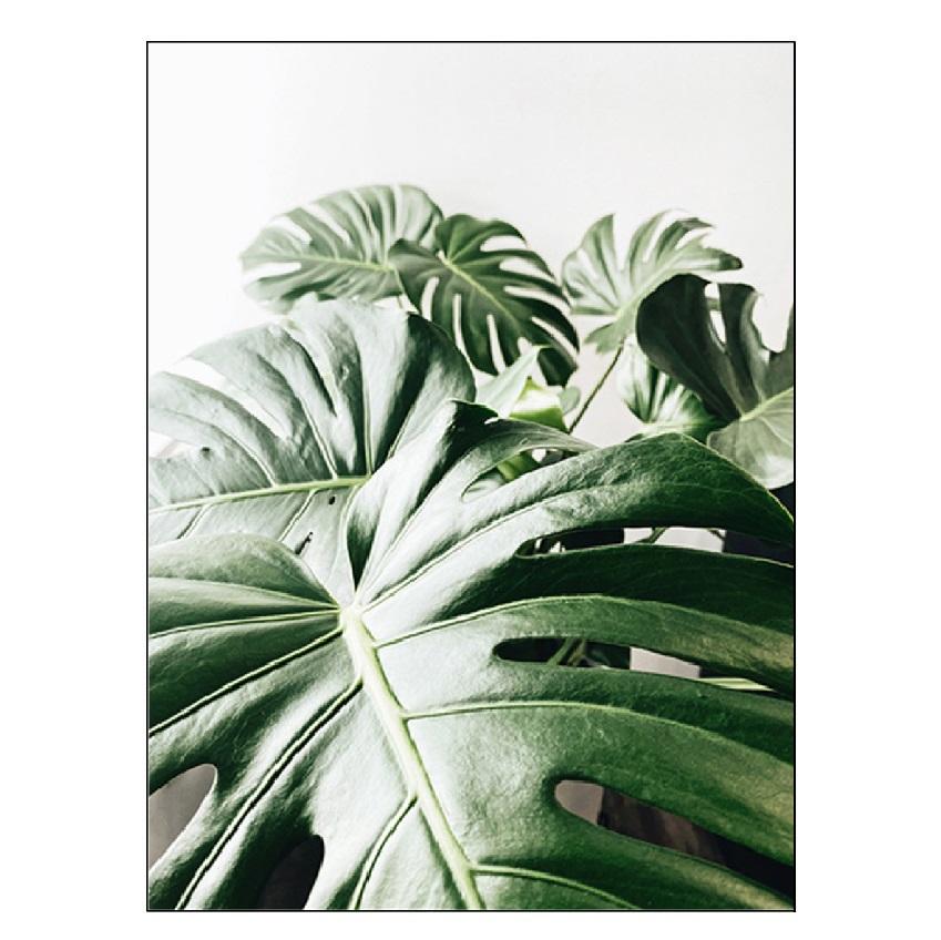 Белый тюльпан, зеленые суккуленты, алоэ монстера, растение, художественный плакат на скандинавскую тему, живопись на холсте и настенные панно для декора гостиной