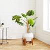 Sturdy Plant Support Stakes 30/40/50cm Moss Sticks Durable Coir Totem Poles  Potted Plants