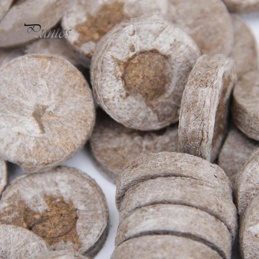 Торфяные блоки для выращивания рассады