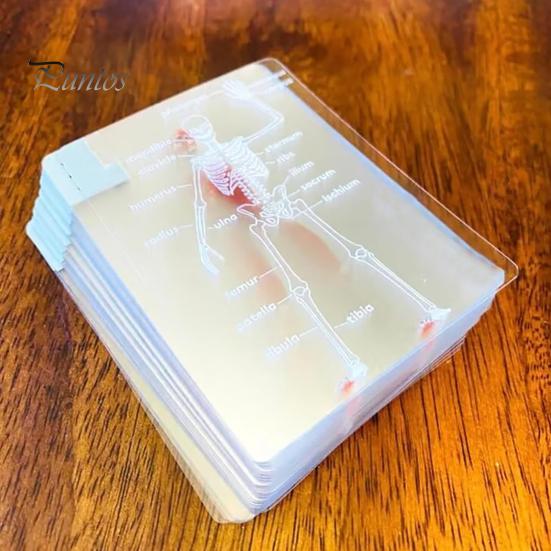 Колода тела Модель скелета Игральные карты Прозрачное 3D Изображение анатомии человека Карты для покера Образовательный подарок для коллекционеров карт Студенты