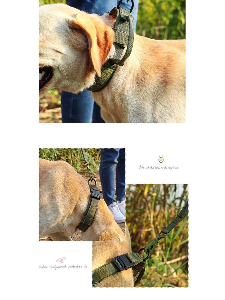 Tactical Adjustable Dog Collar & Leash - Outdoor Explosion-Proof Training Collar.
