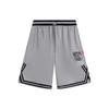 Шорты для баскетбола Li Ning Logo Color Block Quick-Dry Straight, мужские шорты Shark-Gray AAPT033-6