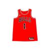 Майка для баскетбола унисекс Chicago Bulls NBA Derrick Rose 1 Logo, удобная, с круглым вырезом, повседневная, CW3700-657