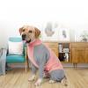 All-inclusive Summer Anti-shedding Four-legged Coat, Adjustable Pet Rehabilitation Suit, Large Dog Clothing